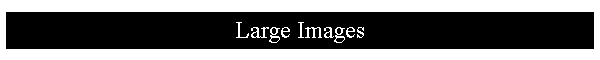 Large Images
